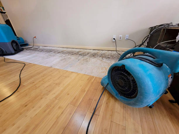 Professional Sewage Cleanup technician working in Lovell, ME